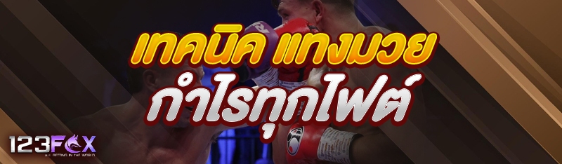 เทคนิค แทงมวย กำไรทุกไฟต์