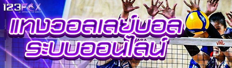 แทงวอลเลย์บอล ระบบออนไลน์
