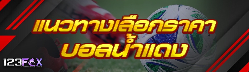 แนวทางเลือกราคาบอลน้ำแดง