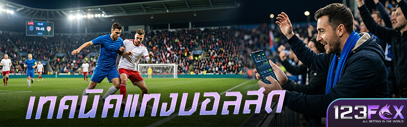 เทคนิคแทงบอล สด