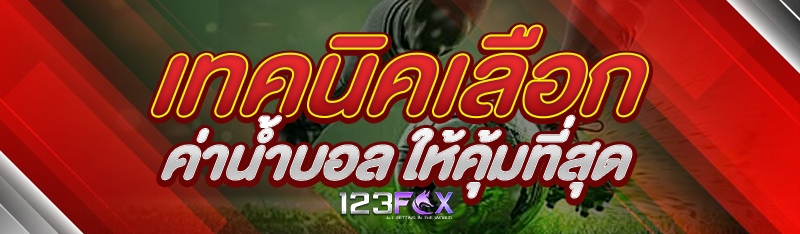 เทคนิคเลือกค่าน้ำบอล ให้คุ้มที่สุด