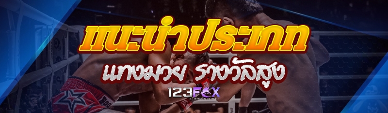 แนะนำประเภท แทงมวย รางวัลสูง