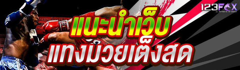 แนะนำเว็บแทงมวยเต็งสด