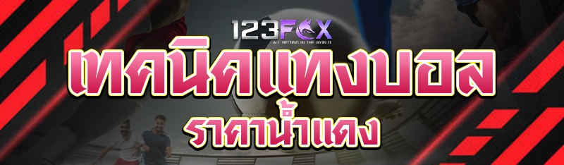 เทคนิคแทงบอลราคาน้ำแดง