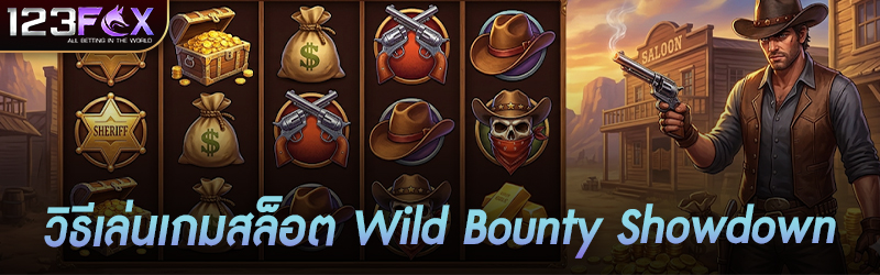วิธีเล่น เกมสล็อต Wild Bounty