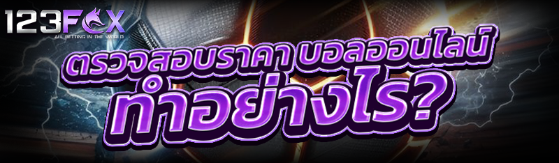 ตรวจสอบราคา บอลออนไลน์ ทำอย่างไร?